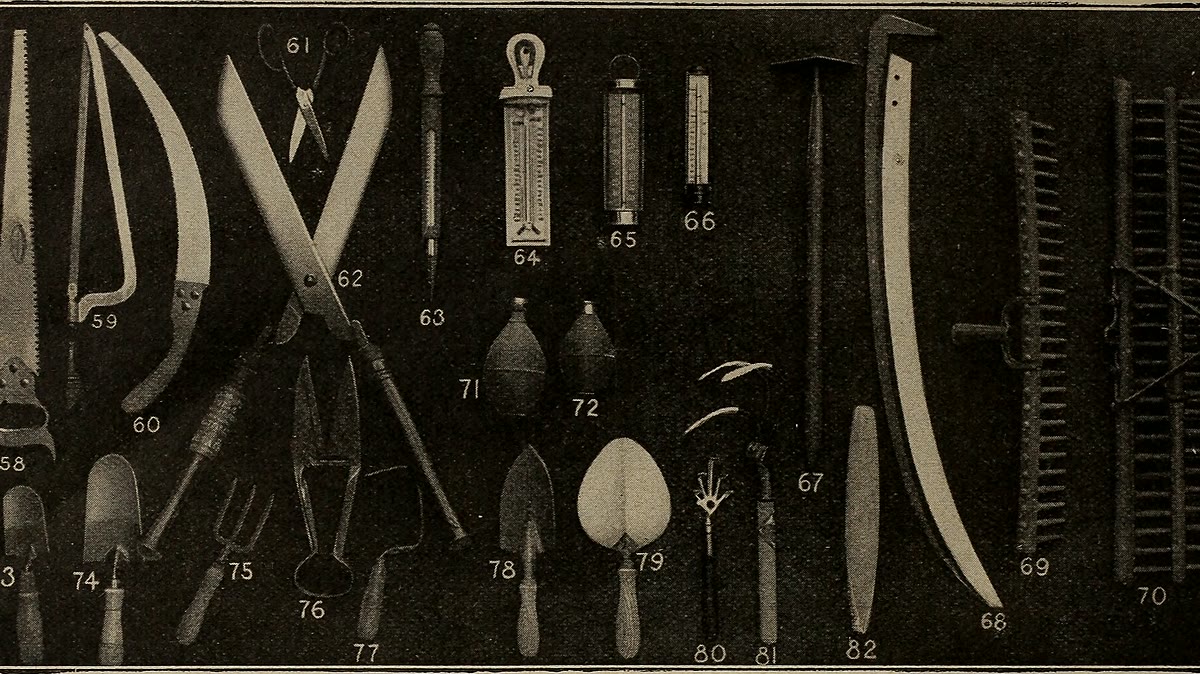 Pruning Calendar Chart by Plant Type